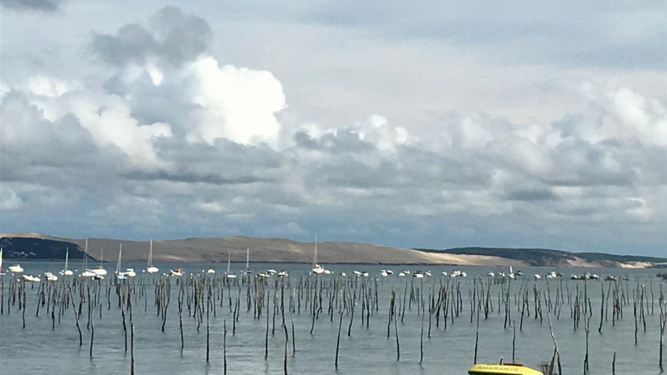 Bassin von Arcachon mit kleinem grünen Boot